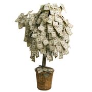 michael_milman@grosslight.com