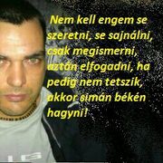 csajtay81
