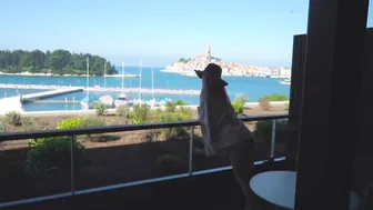 red blowjob amateur hot banged on holiday rough random bro