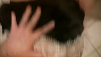 Dirty Fucking Maid