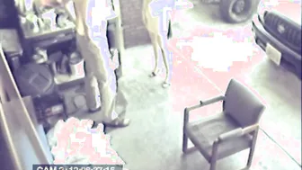 Hot Blonde gets Fucked on garage on cam