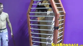 Caged twink whipped and tormented hard ends up masturbating