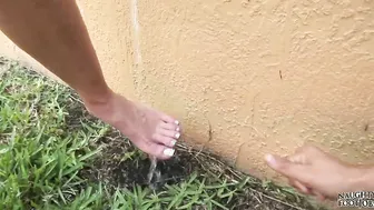 The Grass Is Always Greener...