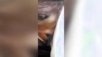 Licking my Asshole and suck my penis