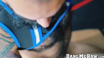Bearded hunk Xandrex cock sucked before bareback drilling