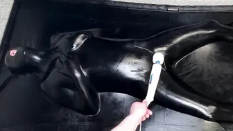 Vacbed + Lube + Bad Dragon Nox Toy + Wand = Multiple
