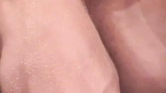 Gay Jay Vine