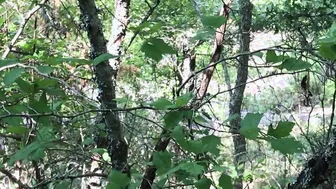 Barely Legal Fellatio  Nailed on Nature Trail into OUTDOOR
