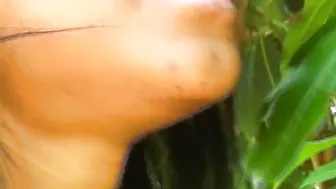 Dark haired babe with an amazing body gets her hairy twat pounded