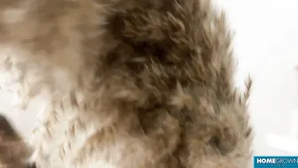She Loves A Thick Cock Inside Her - Amanda Clarke Oliver Trunk