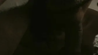Novinha mamando macho