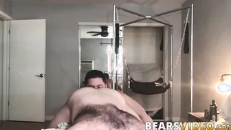 Hairy bear bareback hard pounded after passionate rimming
