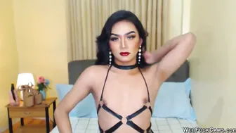 Small tits shemale anal toying on solo webcam show