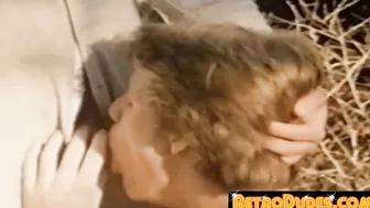 Stud gives his man a sensual caress and has his butt crude banged