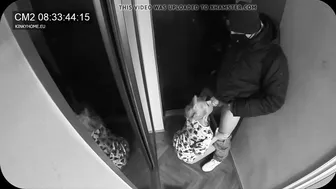 Exclusive Footage! Postal Worker Catches Wifes Cheating Blowjob
