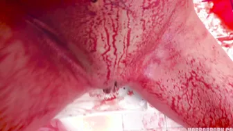 HORROR PORN – BL00D Fairy
