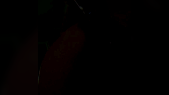 LilKimmy Pussy Dildo and Cumming