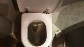 Auf der Zug Toilette eine Traperin gefickt