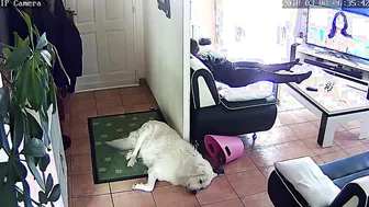secret camera masturbation