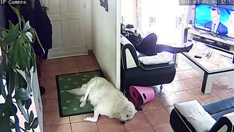 Secret camera masturbation