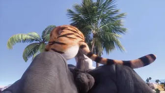 Wild Life / Tiger Furry bimbos with Big Rhino