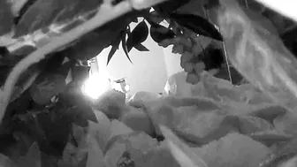 Woman masturbating and is secretly recorded.
