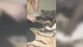 The Best Interracial Cuck Sex Tape I’ve Ever Met