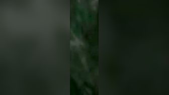 Italin amateurs sucking and fucking indoors and outdoors