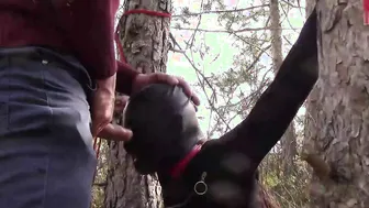 Bound to a tree masked and public deep throat with no