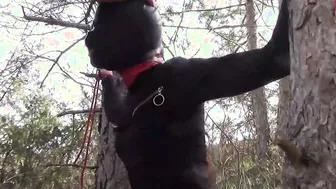 Bound to a tree masked and public deep throat with no
