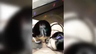 Double Oral Sex