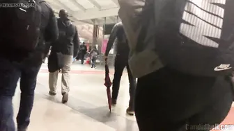WOBBLE COUGAR
