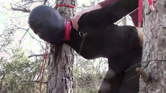 Bound up to a tree public on Goddess clothes wearing stockings and