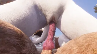 Wild Life / Kira and Kral Furry Porn HD