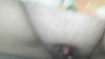 Gordinho tarado bota a gata pra tomar leitinho