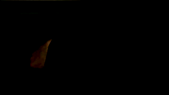 Ryan Jordan fucked the ass of Trevor Harris with a vibrator before pounding it with h
