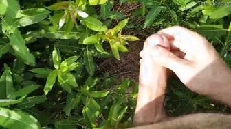 Huge Penis Bro Jerks Dick Near Sunbathing Naked Beach Women