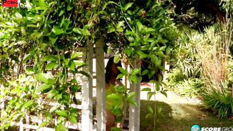 Sensual Serenade A Garden of Pleasure Unfolds