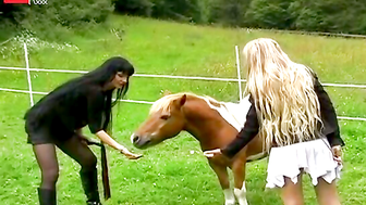 Ride Me, Cowgirl!