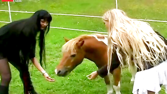 Ride Me, Cowgirl!