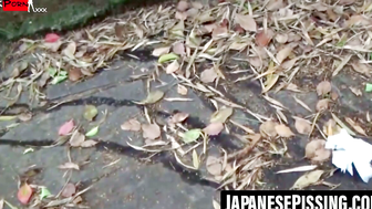 Caught in the Act Witnessing the Secret Rituals of Unaware Japanese Maidens