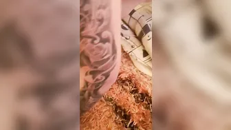 Blonds porn video – Rough day at the hucow farm