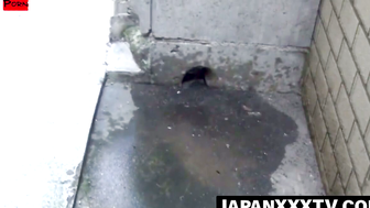 Exclusive Footage Adorable Japanese Babes Caught Urinating in Hidden Spots!