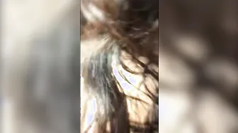 Beurette Franco algerienne defoncee par grosse bite african