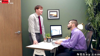 Revisiting the Boardroom A heterosexual encounter of passion and power in the workplace