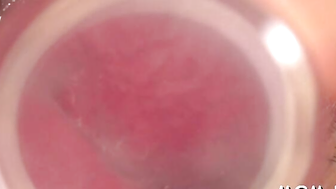 Ron Jeremys Boomers Delight  Reika Ichinoses Juicy Honeys Exposed!