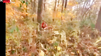 "Woodland Lover - German Amateur Blonde Babe Riding A Stranger's Dick"