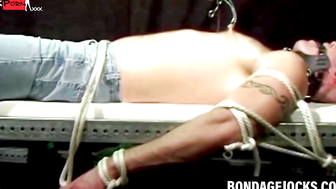 Double Delight Alpha Domination of Subordinates Sensual Nipples