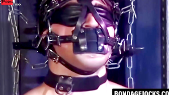 "Muscle Stud's Bondage Striptease - BDSM Domination with Blindfolded Submissive"