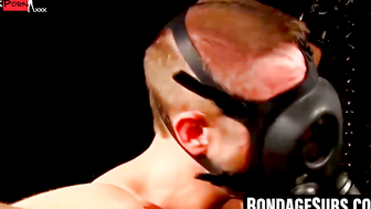 Bondaged BDSM Submission Training - Dominatrix Torments Man's Body